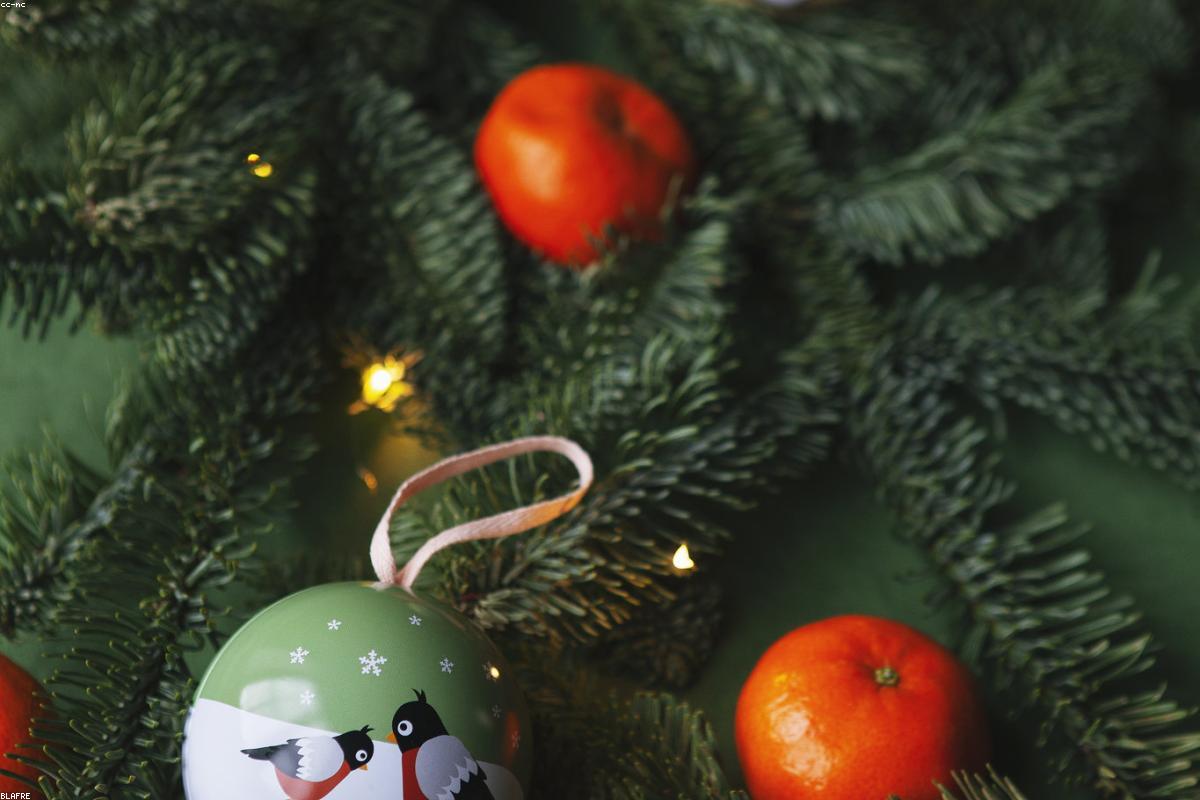 Building the Ultimate Holiday Cookie Box